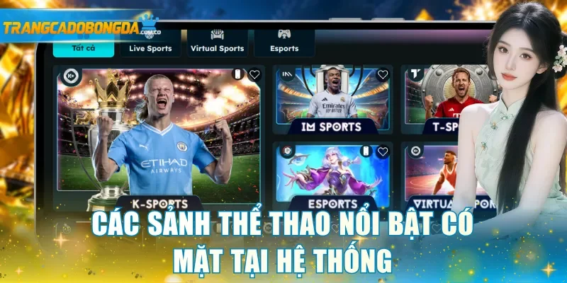 Các sảnh thể thao nổi bật có mặt tại hệ thống