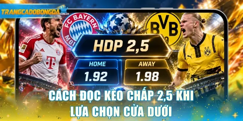 Cách đọc kèo chấp 2,5 khi lựa chọn cửa dưới