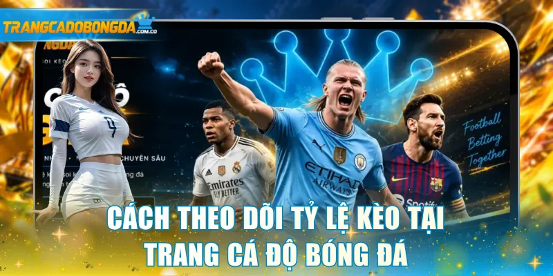 Cách theo dõi tỷ lệ kèo tại Trang cá độ bóng đá