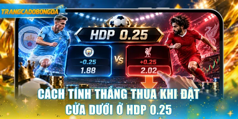 Cách tính thắng thua khi đặt cửa dưới ở HDP 0.25