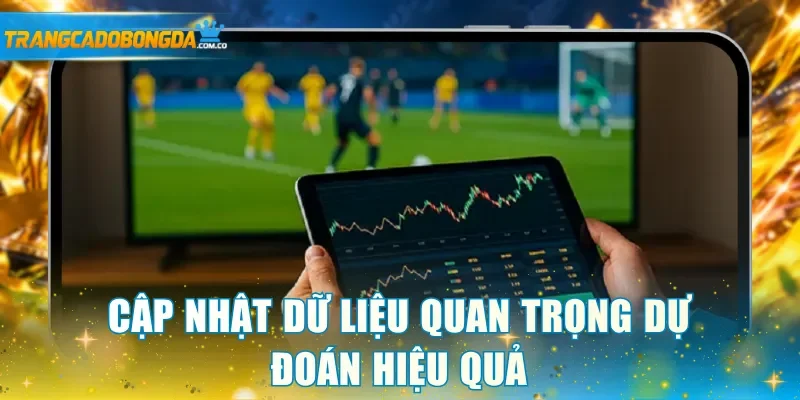 Cập nhật dữ liệu quan trọng dự đoán hiệu quả