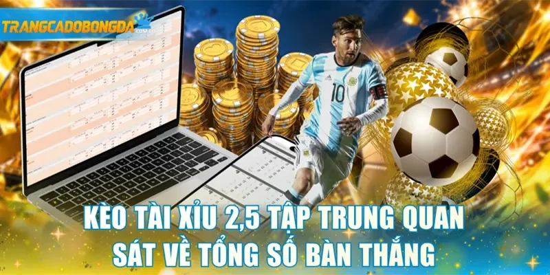 Kèo tài xỉu 2,5 tập trung quan sát về tổng số bàn thắng