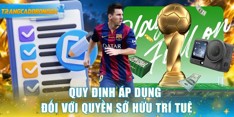 Quy định áp dụng đối với quyền sở hữu trí tuệ