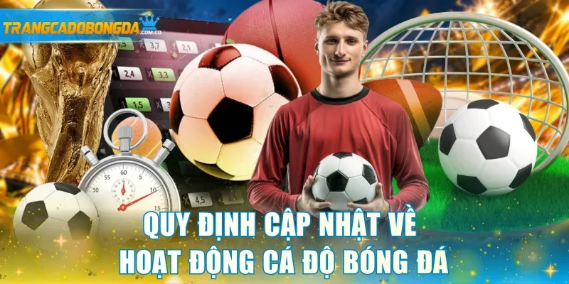 Quy định cập nhật về hoạt động cá độ bóng đá