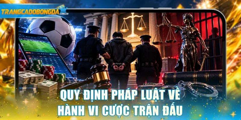 Quy định pháp luật về hành vi cược trận đấu