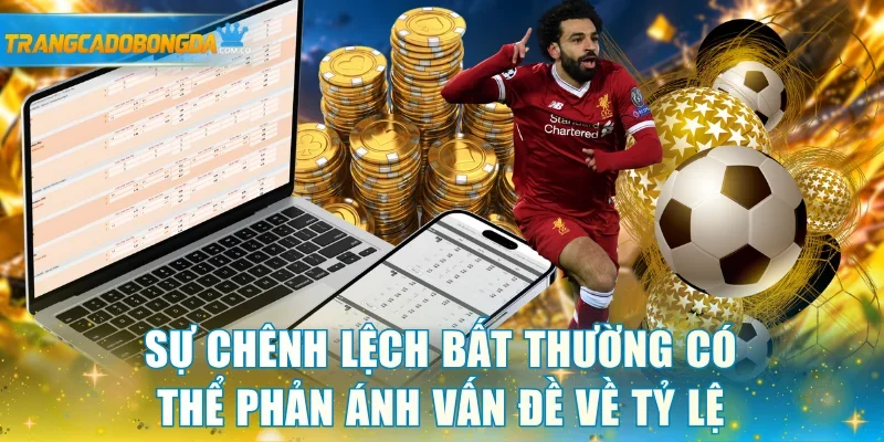 Sự chênh lệch bất thường có thể phản ánh vấn đề về tỷ lệ