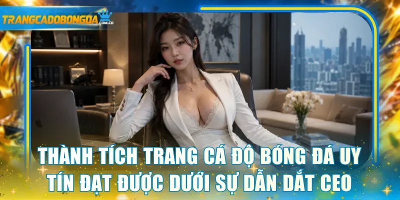 Thành tích trang cá độ bóng đá uy tín đạt được dưới sự dẫn dắt CEO