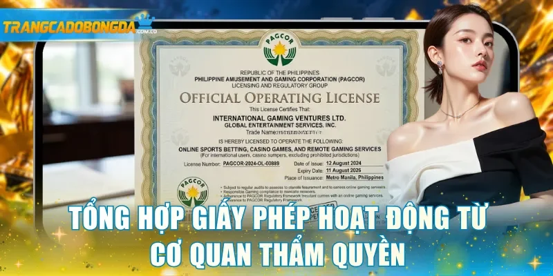 Tổng hợp giấy phép hoạt động từ cơ quan thẩm quyền