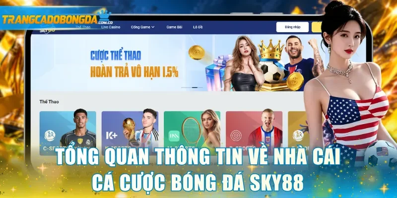 Tổng quan thông tin về nhà cái cá cược bóng đá Sky88