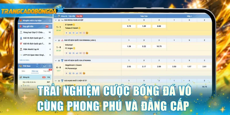 Trải nghiệm cược bóng đá vô cùng phong phú và đẳng cấp