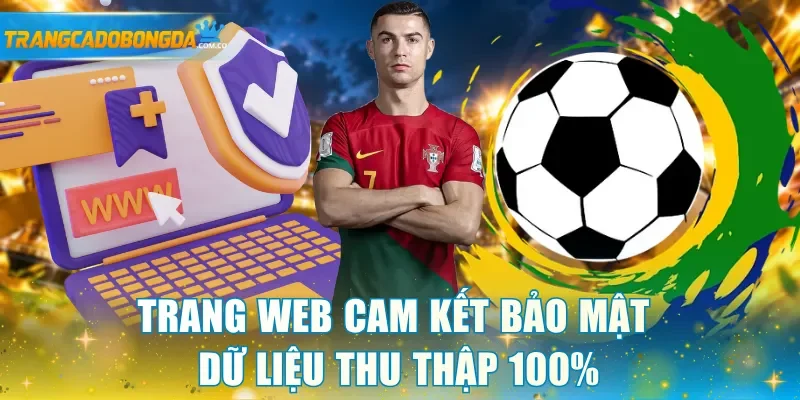Trang web cam kết bảo mật dữ liệu thu thập 100%