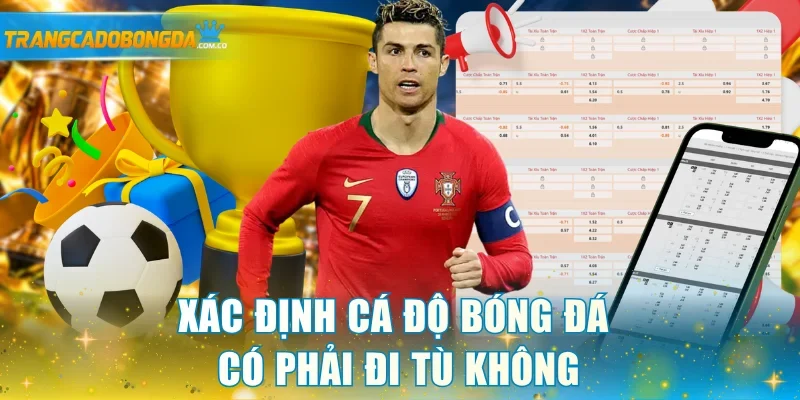 Xác định cá độ bóng đá có phải đi tù không